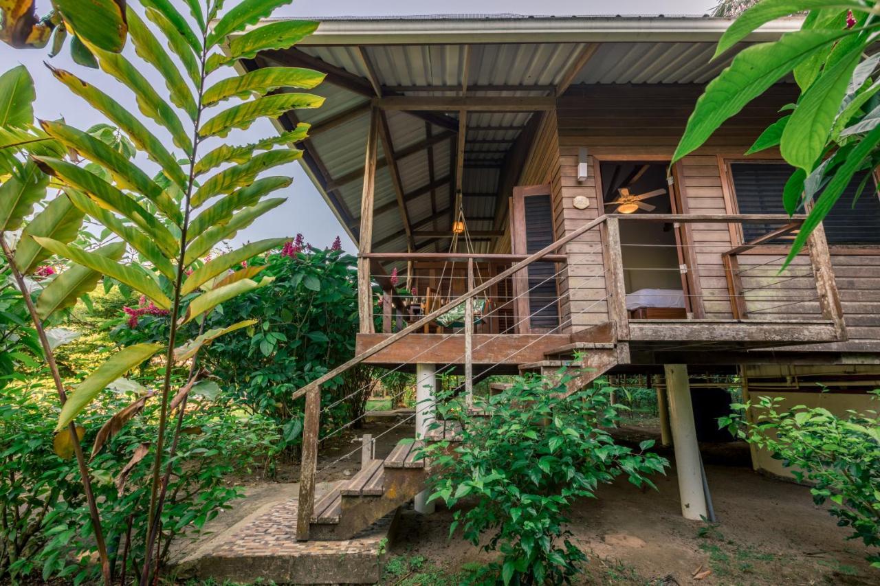The Hummingbird Hotel Bocas del Toro Exterior photo